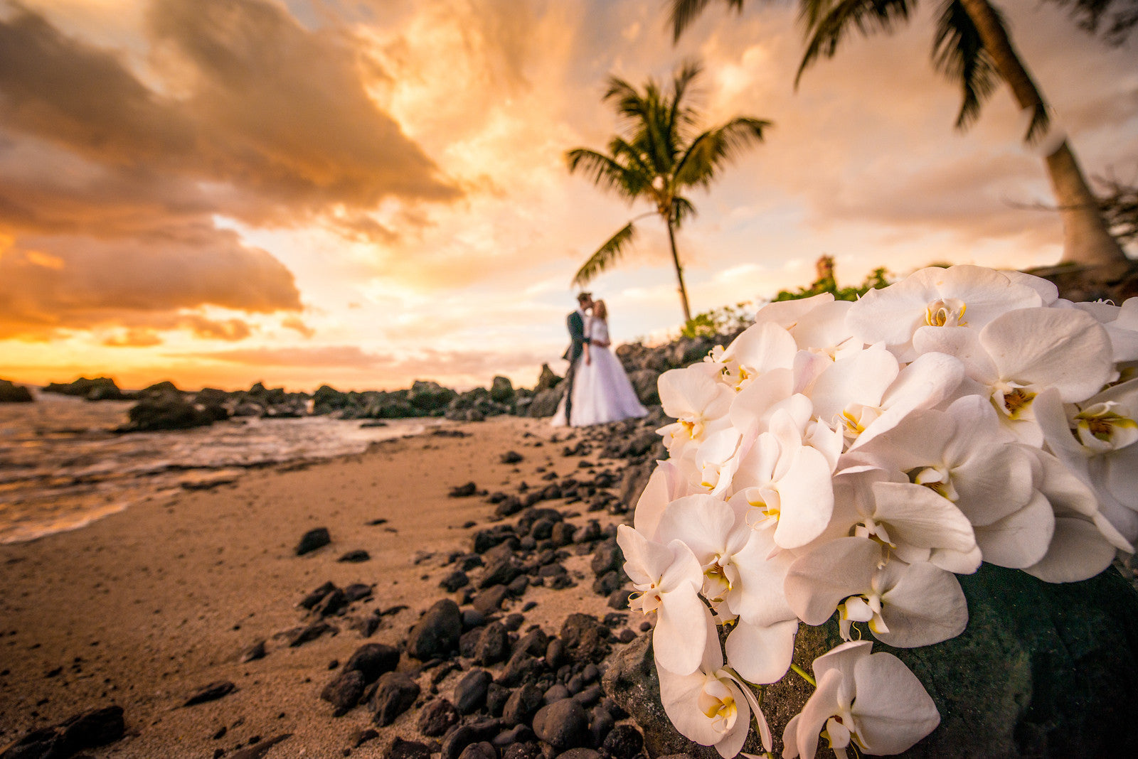 Maui Wedding Cinematography