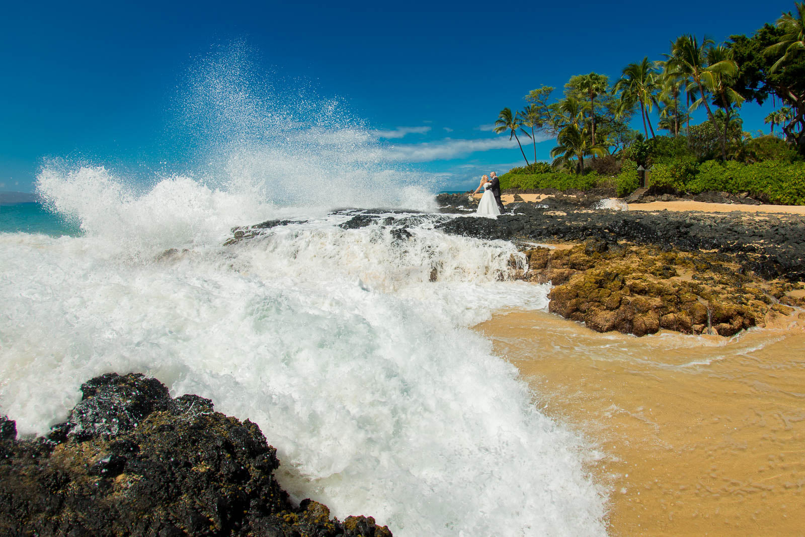 Home  Paradise Dream - Wedding Photographers & Ministers in Maui