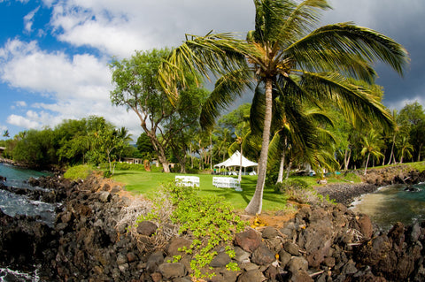 [Maui Elopement & Maui Wedding Photographer Online]-Maui Wedding Photography & Planning Studio, A Paradise Dream Wedding