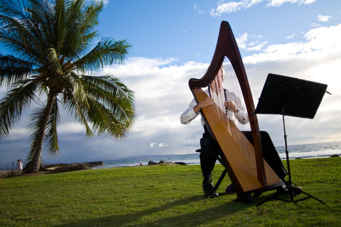 [Maui Elopement & Maui Wedding Photographer Online]-Maui Wedding Photography & Planning Studio, A Paradise Dream Wedding
