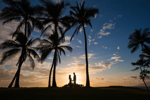 Designate Brandon Vincent as Photographer