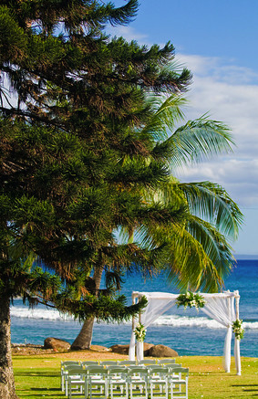 [Maui Elopement & Maui Wedding Photographer Online]-Maui Wedding Photography & Planning Studio, A Paradise Dream Wedding