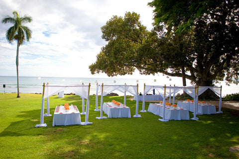 [Maui Elopement & Maui Wedding Photographer Online]-Maui Wedding Photography & Planning Studio, A Paradise Dream Wedding